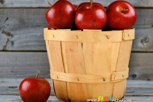 Ведро с ябълки – приказка за размисъл